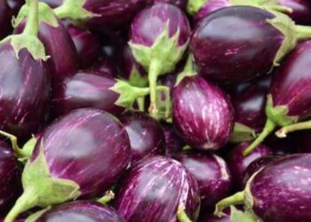 രക്തസമ്മര്‍ദ്ദം-നിയന്ത്രിക്കാന്‍-വഴുതനങ്ങ