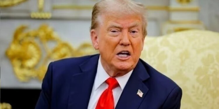 മിനസോട്ടയിൽ-താമസിക്കുന്ന-സൊമാലിയക്കാർക്കുള്ള-താൽക്കാലിക-നാടുകടത്തൽ-സംരക്ഷണം-ഉടൻ-അവസാനിപ്പിക്കുകയാണെന്ന്-യുഎസ്-പ്രസിഡന്റ്-ഡൊണാൾഡ്-ട്രംപ്