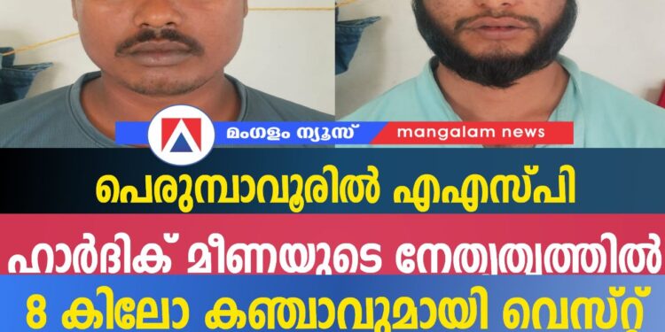 പെരുമ്പാവൂരിൽ എഎസ്പി ഹാർദിക് മീണയുടെ നേതൃത്വത്തിൽ 8 കിലോ കഞ്ചാവുമായി വെസ്റ്റ് ബംഗാൾ സംഘം പിടിയിൽ | വൻ മയക്കുമരുന്ന് കടത്ത് പൊളിച്ചടുക്കി