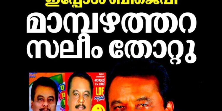 ആദ്യം സിപിഐഎം, പിന്നെ കോൺഗ്രസ്, ഇപ്പോൾ ബിജെപി: പാർട്ടികളിൽ മാറിമാറി നിന്ന മാമ്പഴത്തറ സലീം തെരഞ്ഞെടുപ്പിൽ പരാജയപ്പെട്ടു