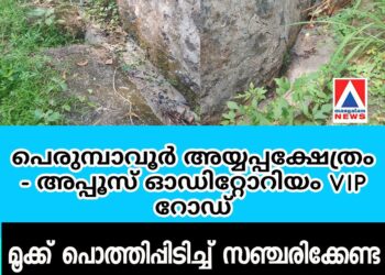 പെരുമ്പാവൂർ അയ്യപ്പക്ഷേത്രം – അപ്പൂസ് ഓഡിറ്റോറിയം VIP റോഡ്: മൂക്ക് പൊത്തിപ്പിടിച്ച് സഞ്ചരിക്കേണ്ട സ്ഥിതി; മാലിന്യത്തിന്റെ ദുർഗന്ധം അസഹനീയം