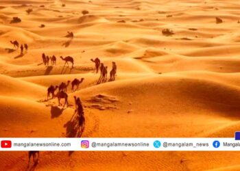 മരുഭൂമിയുണ്ടായിട്ടും യുഎഇയും സൗദിയും മണൽ ഇറക്കുമതി ചെയ്യുന്നത് എന്തുകൊണ്ട്?