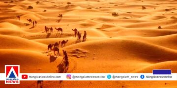 മരുഭൂമിയുണ്ടായിട്ടും യുഎഇയും സൗദിയും മണൽ ഇറക്കുമതി ചെയ്യുന്നത് എന്തുകൊണ്ട്?