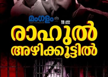 ബലാത്സംഗക്കേസ്; രാഹുൽ മാങ്കൂട്ടത്തിൽ ജയിലിലേക്ക്, 14 ദിവസത്തേക്ക് റിമാൻഡ് ചെയ്തു