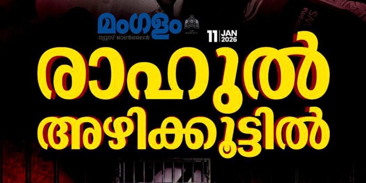 ബലാത്സംഗക്കേസ്; രാഹുൽ മാങ്കൂട്ടത്തിൽ ജയിലിലേക്ക്, 14 ദിവസത്തേക്ക് റിമാൻഡ് ചെയ്തു