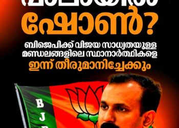 പാലായിൽ ഷോൺ ജോർജ്? ബി.ജെ.പി സ്ഥാനാർത്ഥി പട്ടിക ഉടൻ; എ ക്ലാസ് മണ്ഡലങ്ങളിൽ വമ്പൻമാരെ ഇറക്കാൻ നീക്കം