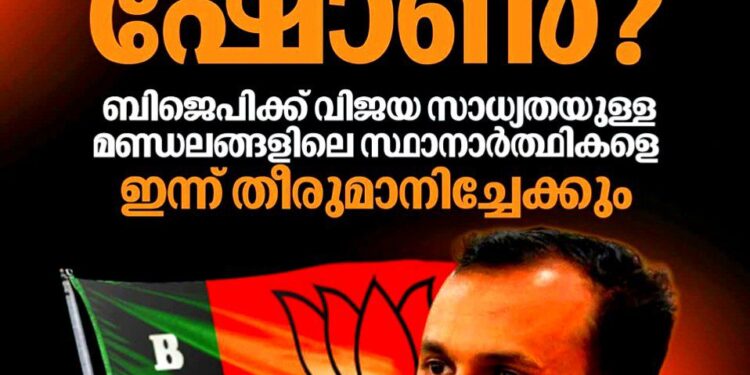 പാലായിൽ ഷോൺ ജോർജ്? ബി.ജെ.പി സ്ഥാനാർത്ഥി പട്ടിക ഉടൻ; എ ക്ലാസ് മണ്ഡലങ്ങളിൽ വമ്പൻമാരെ ഇറക്കാൻ നീക്കം