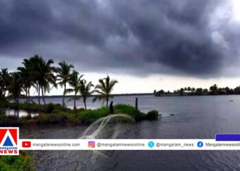 പുതുവർഷത്തിലെ ആദ്യ അതിതീവ്ര ന്യൂനമർദം; ശക്തമായ മഴ വരുന്നു, രണ്ട് ജില്ലകളിൽ യെല്ലോ അലർട്ട്