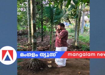 ​പെരയ്ക്കാട്ടു മഹാദേവ ക്ഷേത്രത്തിൽ ഉത്സവത്തിനായി ഉത്തമലക്ഷണങ്ങളുള്ള കൊടിമരം കണ്ടെത്തി