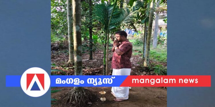 പെരയ്ക്കാട്ടു മഹാദേവ ക്ഷേത്രത്തിൽ ഉത്സവത്തിനായി ഉത്തമലക്ഷണങ്ങളുള്ള കൊടിമരം കണ്ടെത്തി